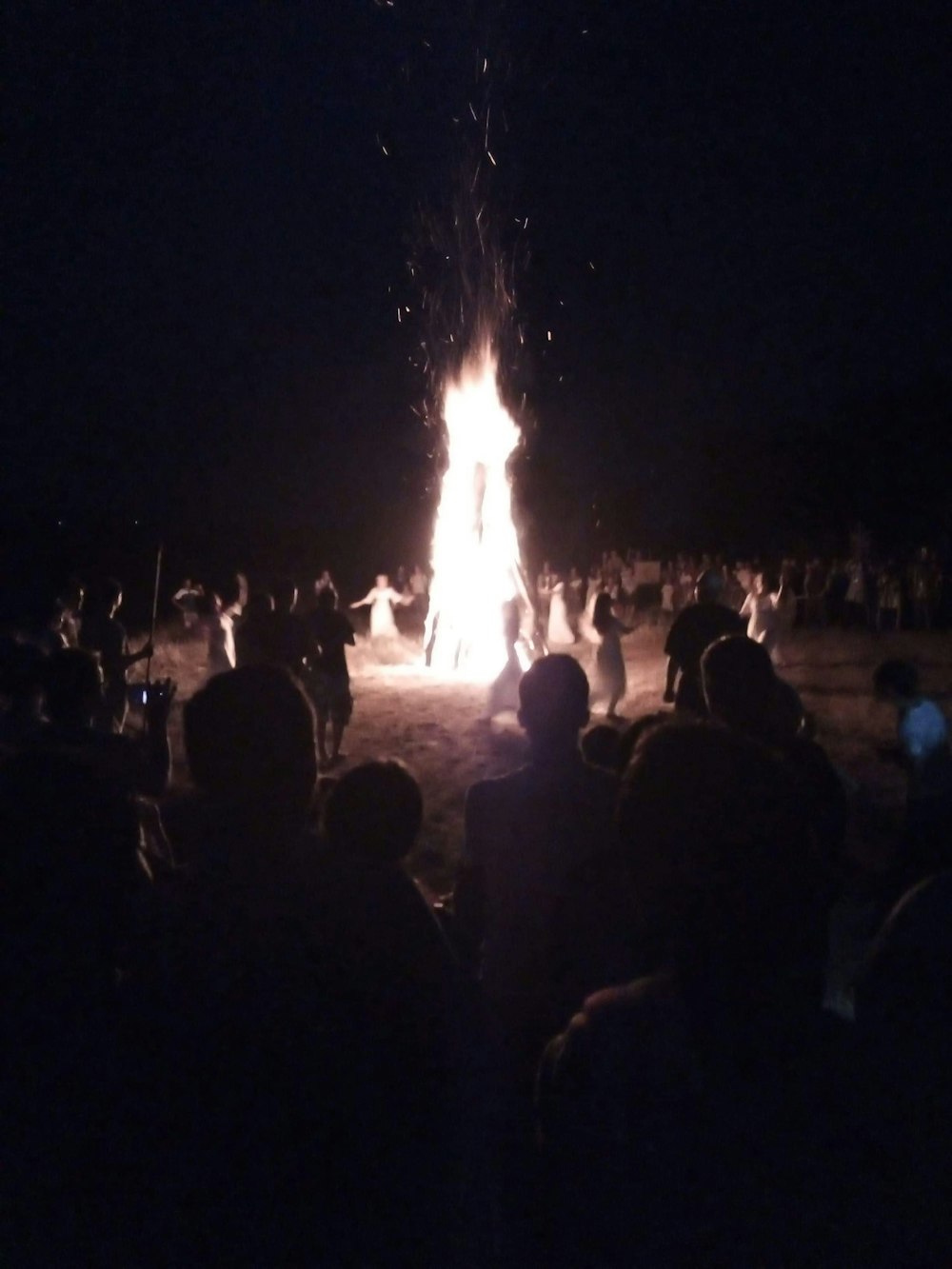 people gathering near bonfire during night time