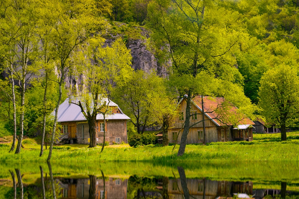 brown wooden house near green trees and lake during daytime
