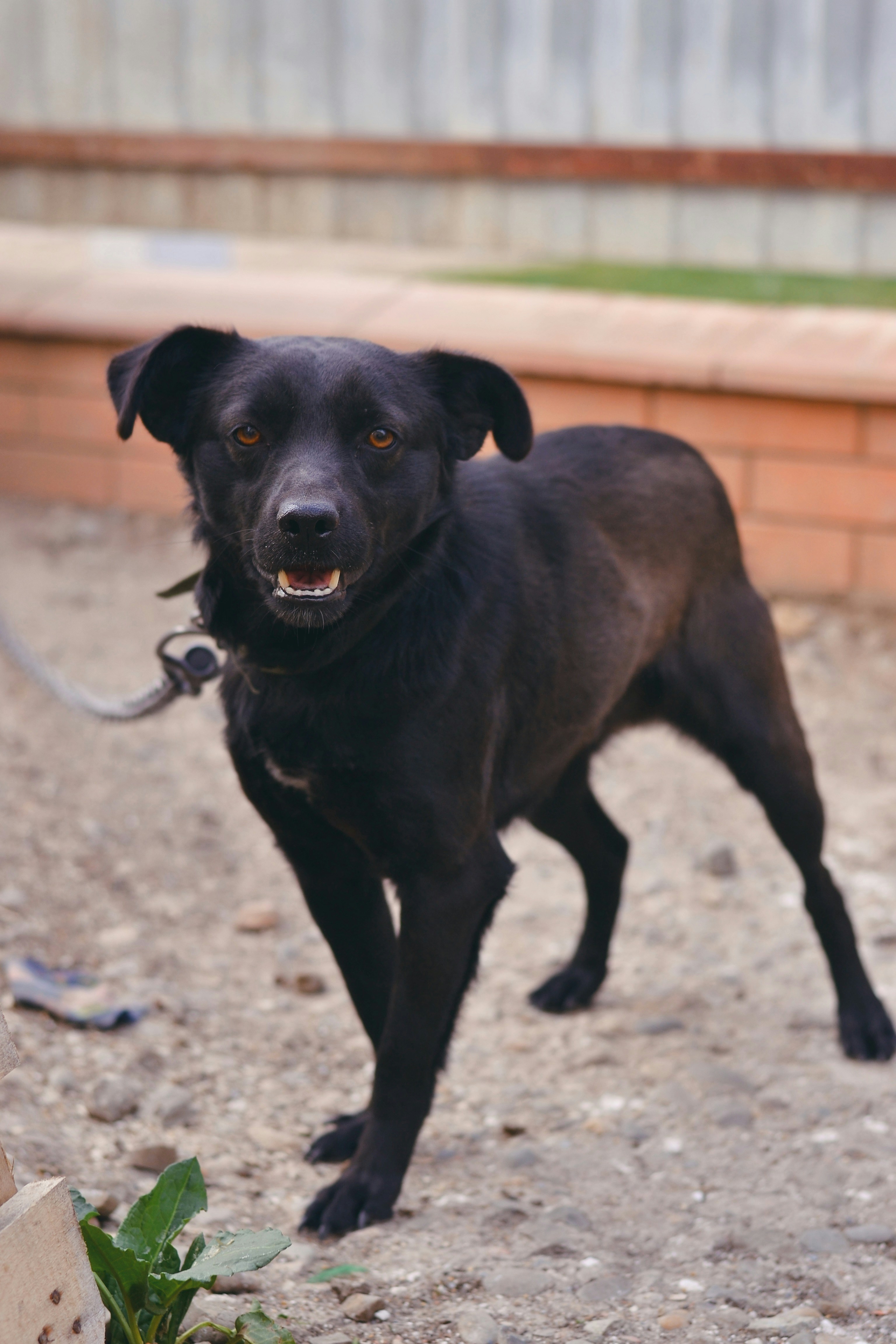 Photo by dudukalov_vl