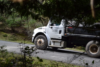 A truck driving on a scenic highway surrounded by nature.