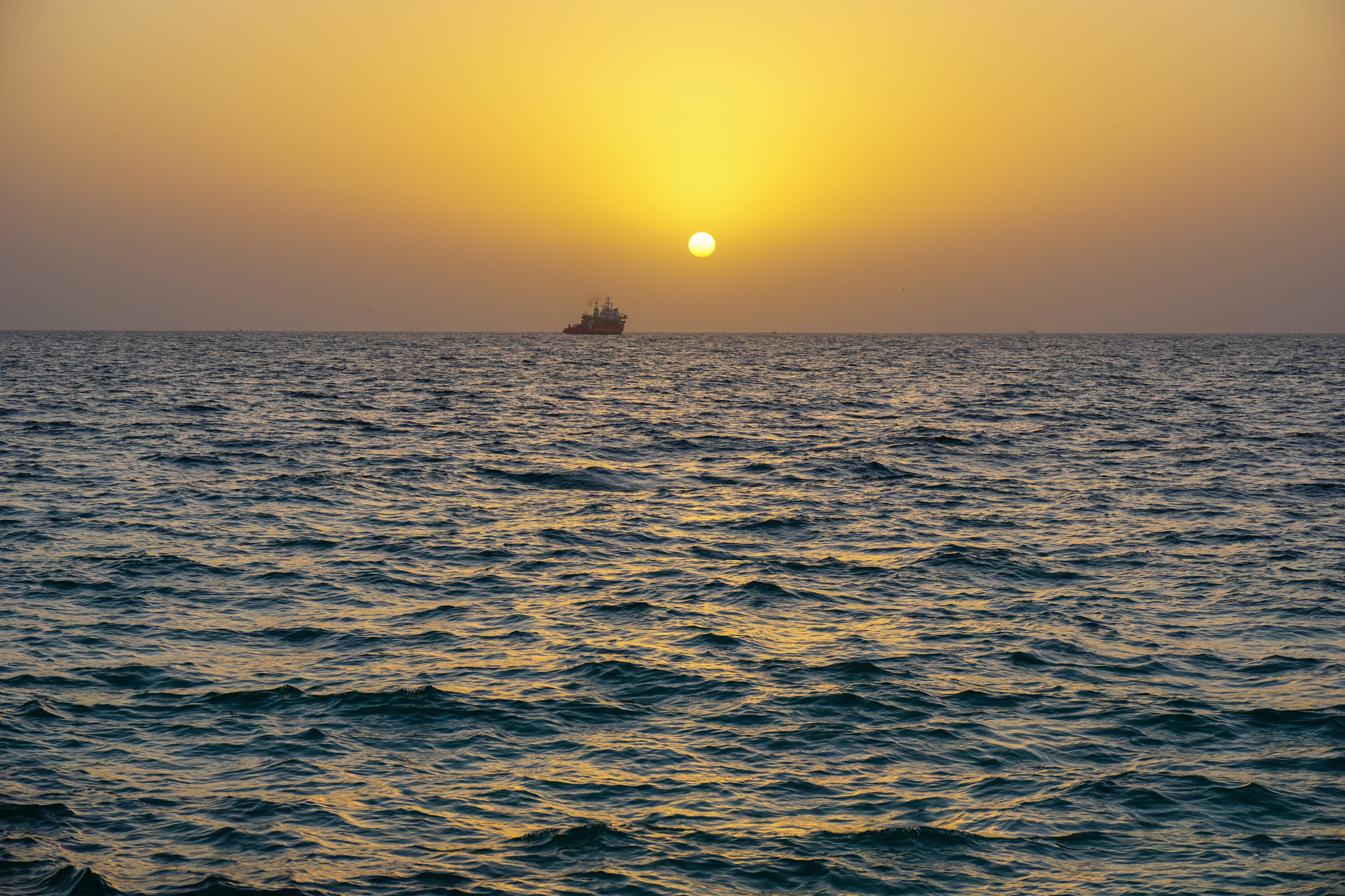 Photo by mojtabahoseini