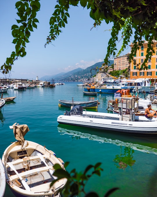 white and black boat on body of water during daytime in Camogli Italy