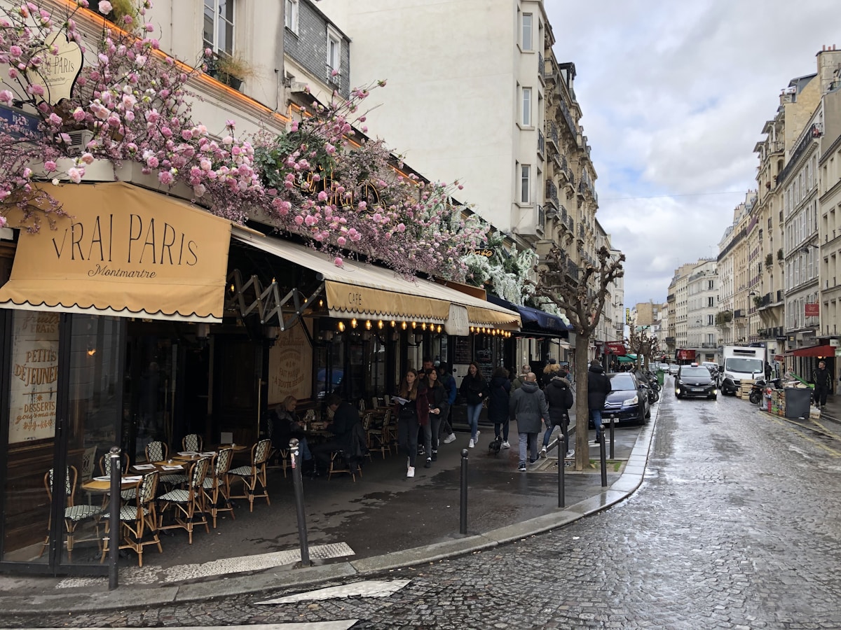 学んでいた外国語：フランス語