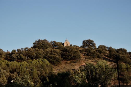A serene sunrise over a quiet chapel surrounded by nature.