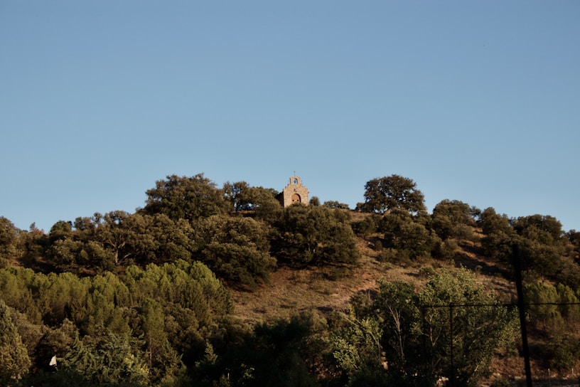A serene sunrise over a quiet chapel surrounded by trees, symbolizing peace and spiritual awakening.