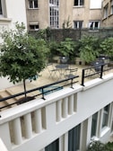An inviting outdoor space with patio furniture and greenery.