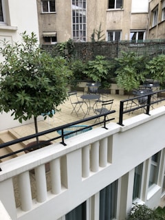 A vibrant outdoor patio with seating and plants.