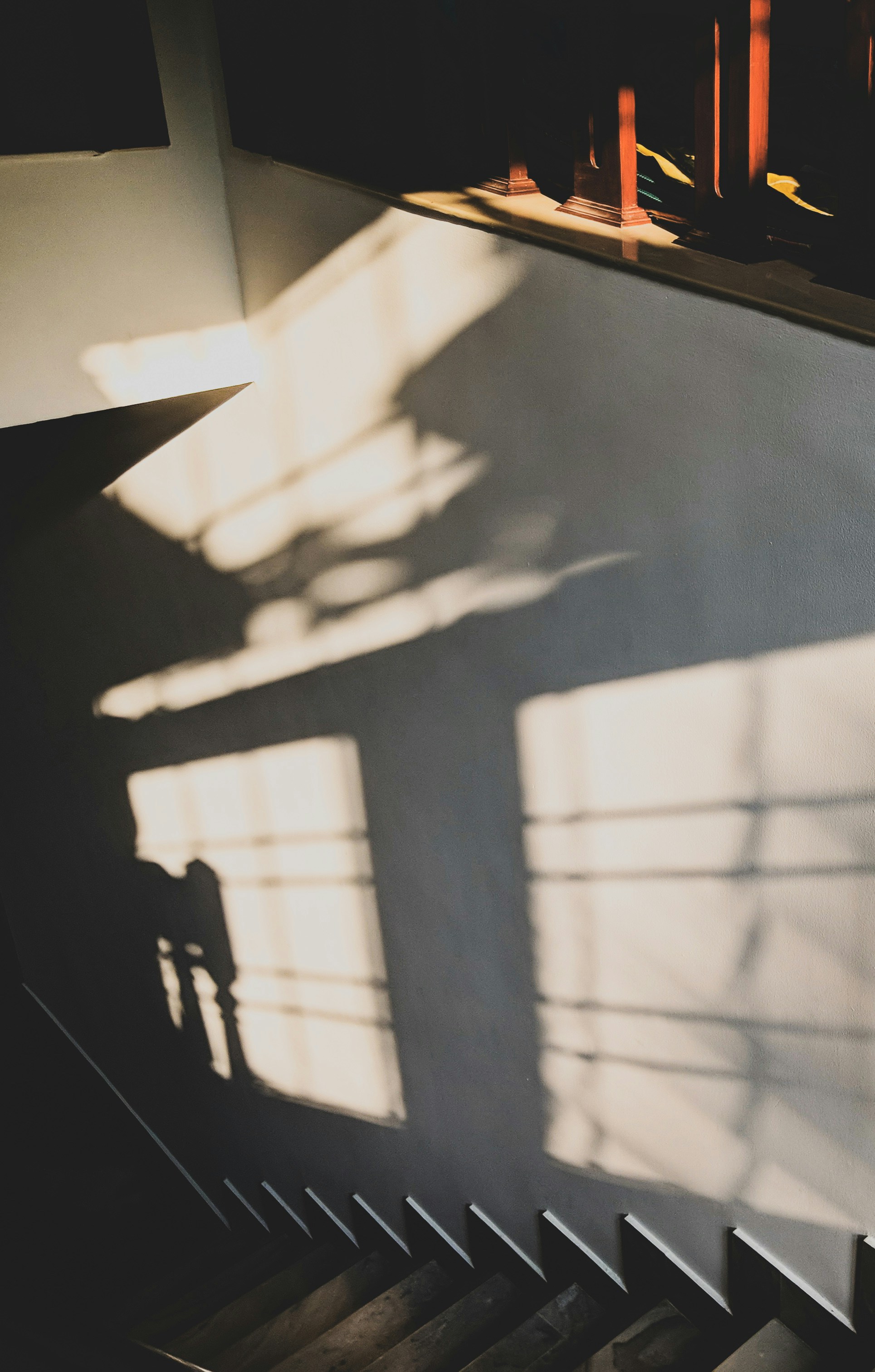 Photo by _mohamed_sajad_