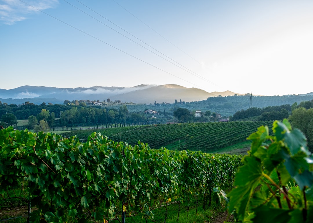 Hill station photo spot Hotel Villa La Palagina Toscana