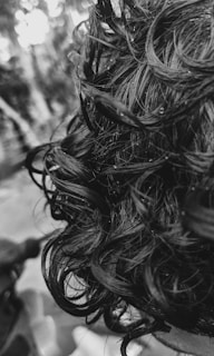 Close-up view of dark, curly hair with visible texture and moisture. The curls are defined and the scene is captured in black and white, giving a detailed look at the hair strands.