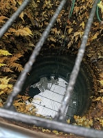 A deep well with still water at the bottom, surrounded by a wall covered in lush ferns and greenery. Several green ropes hang into the well, and the view is partially obstructed by metal bars running across the foreground.
