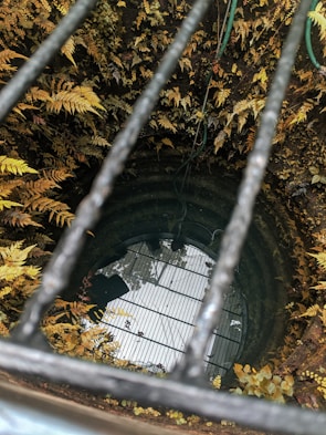 A deep well with still water at the bottom, surrounded by a wall covered in lush ferns and greenery. Several green ropes hang into the well, and the view is partially obstructed by metal bars running across the foreground.