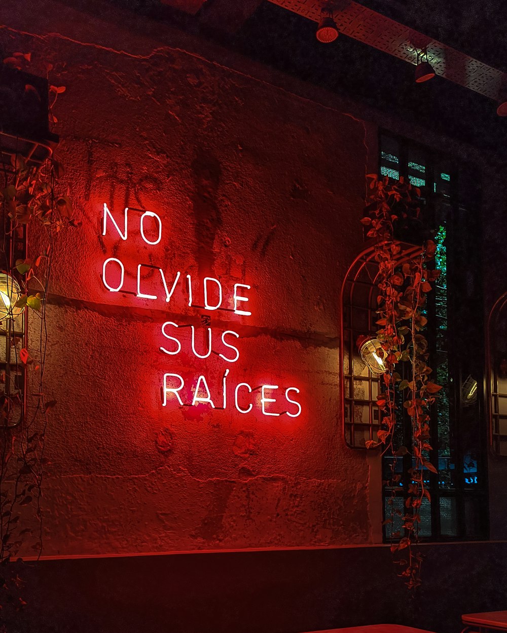 a red neon sign that reads no olvidde sus raices