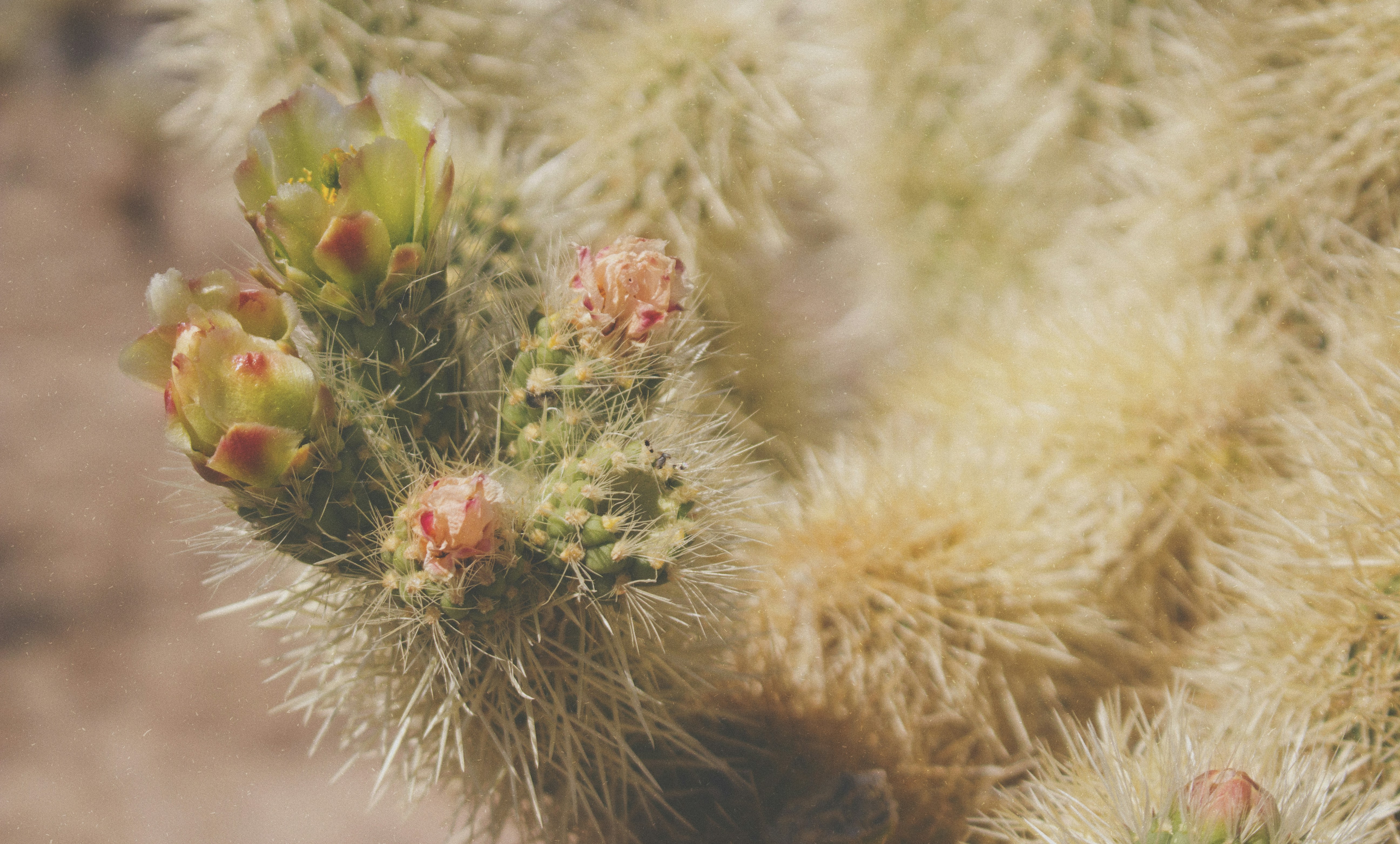 Photo by jewadalnabi