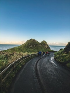 A winding road leads through lush green hills toward a calm sea under a clear blue sky. A group of people are walking on the path, accompanied by wooden railings on one side. The scene is tranquil and expansive, showcasing a harmony between land and sea.