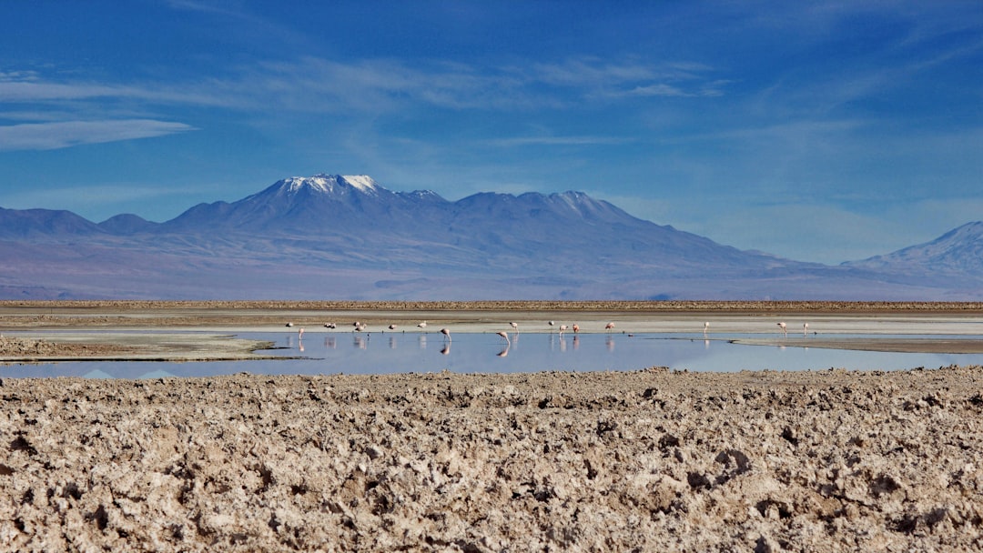 Plain photo spot Salar de Atacama Antofagasta