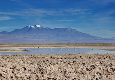 Chile_reisen_atacama_wuste_salar_salzwuste_vor_vulkan