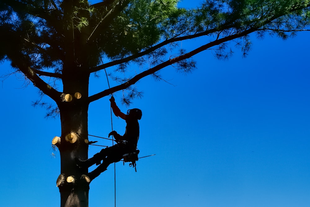 man in black jacket and pants on tree branch during daytime