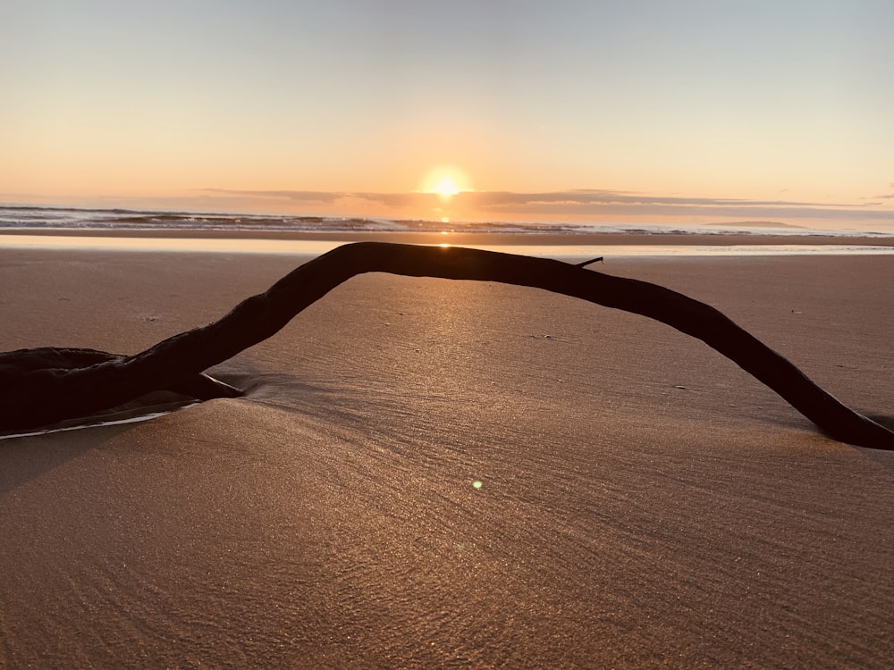 brown sand beach during sunset