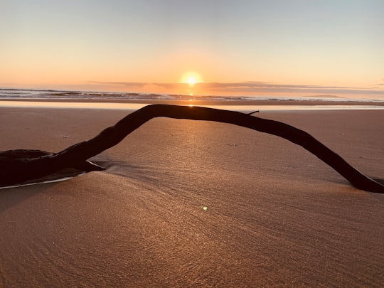 brown sand beach during sunset in Tasmania Australia