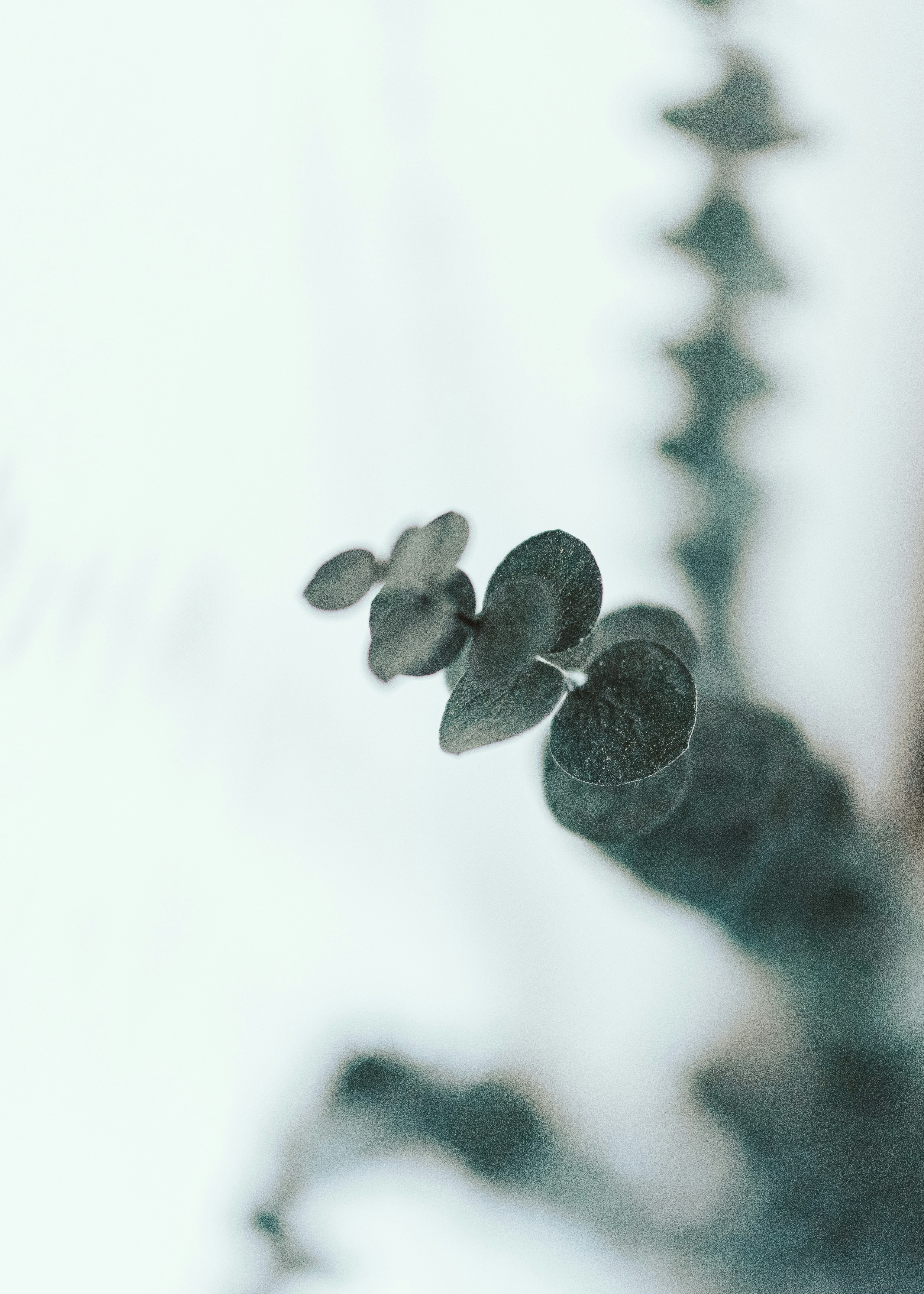 Photo by seitamaaphotography