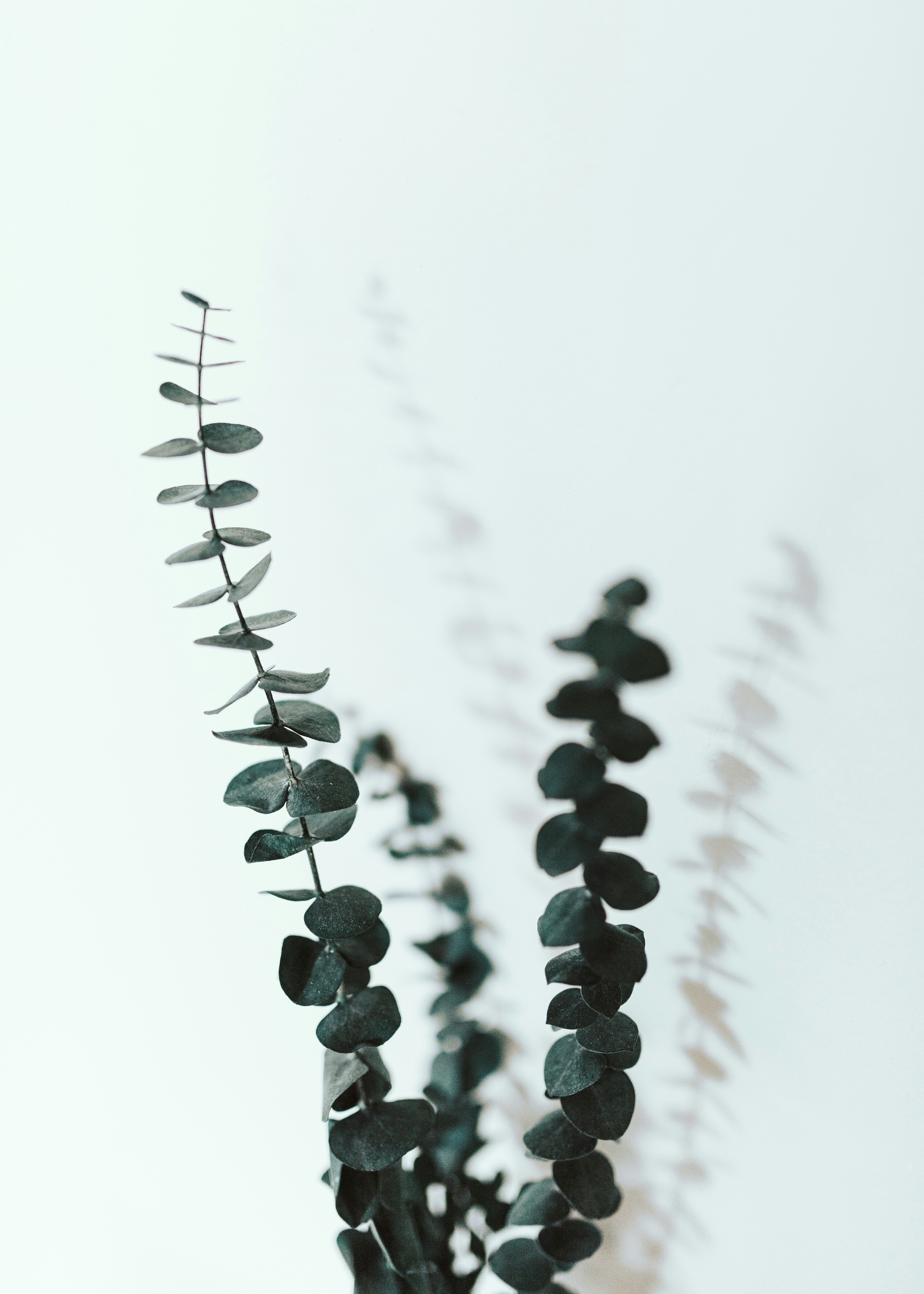 The Correction Corner: What Retractions Reveal About News Quality