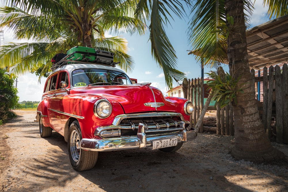 red and white vintage car parked beside palm tree during daytime