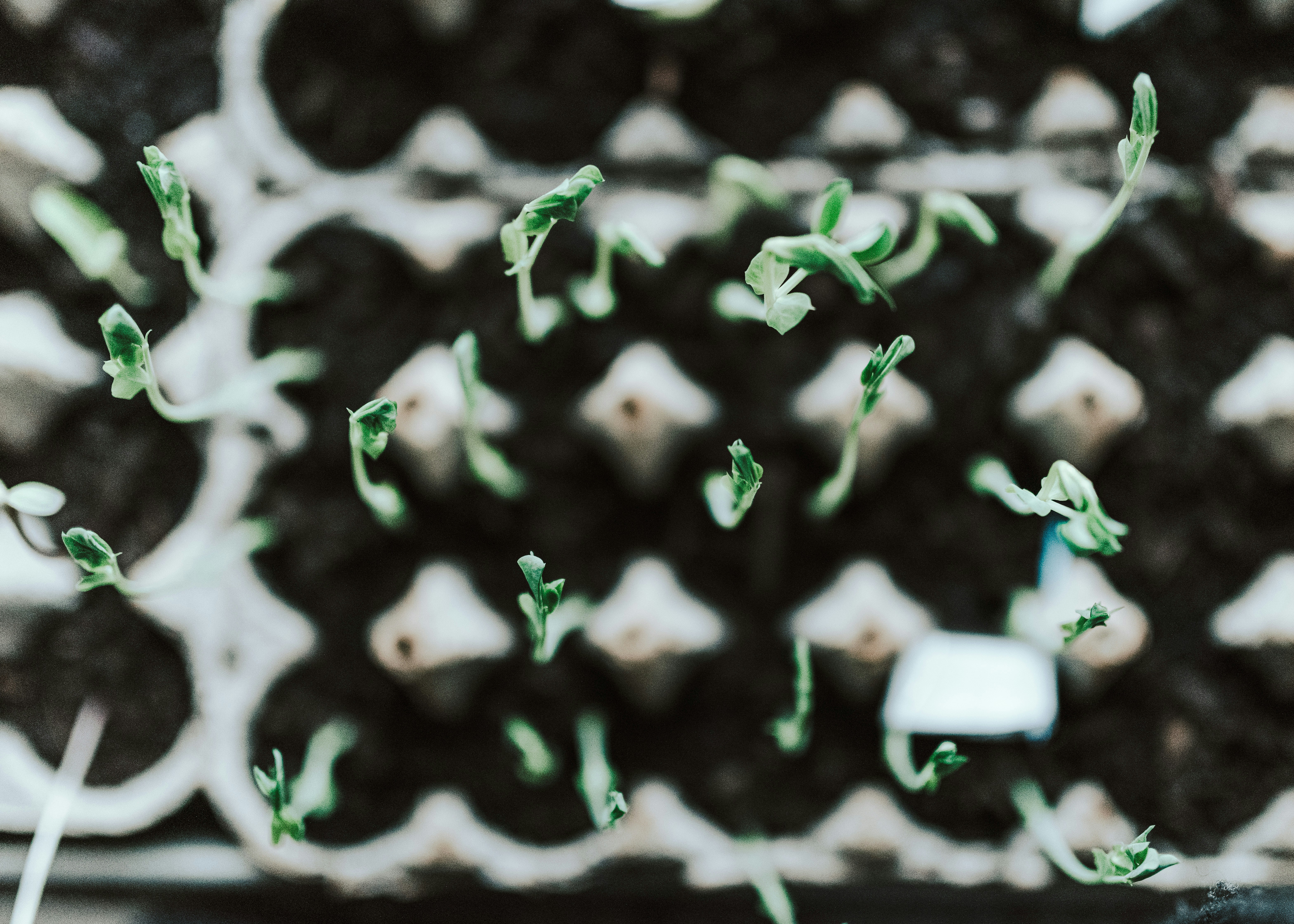 Photo by seitamaaphotography