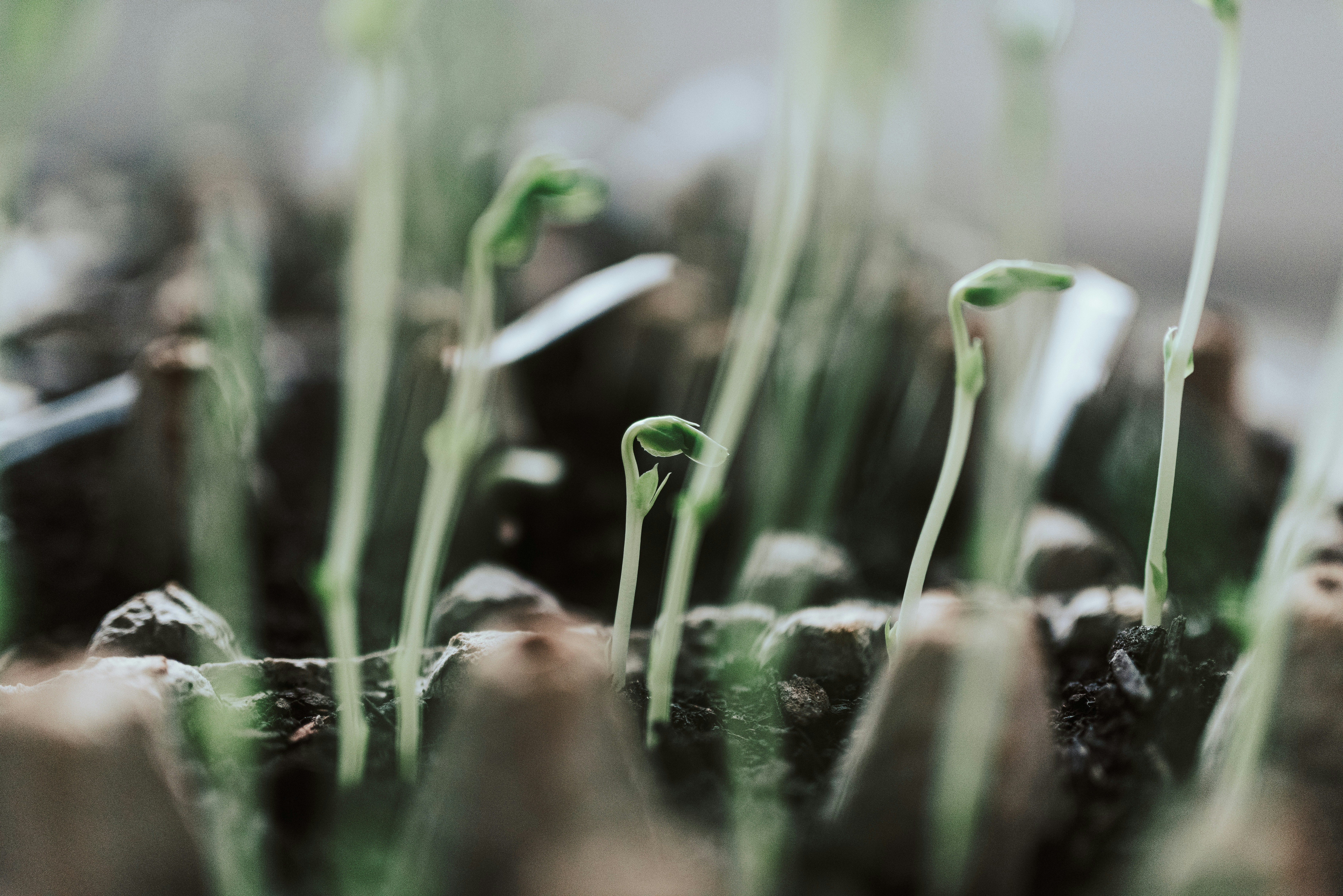 Photo by seitamaaphotography