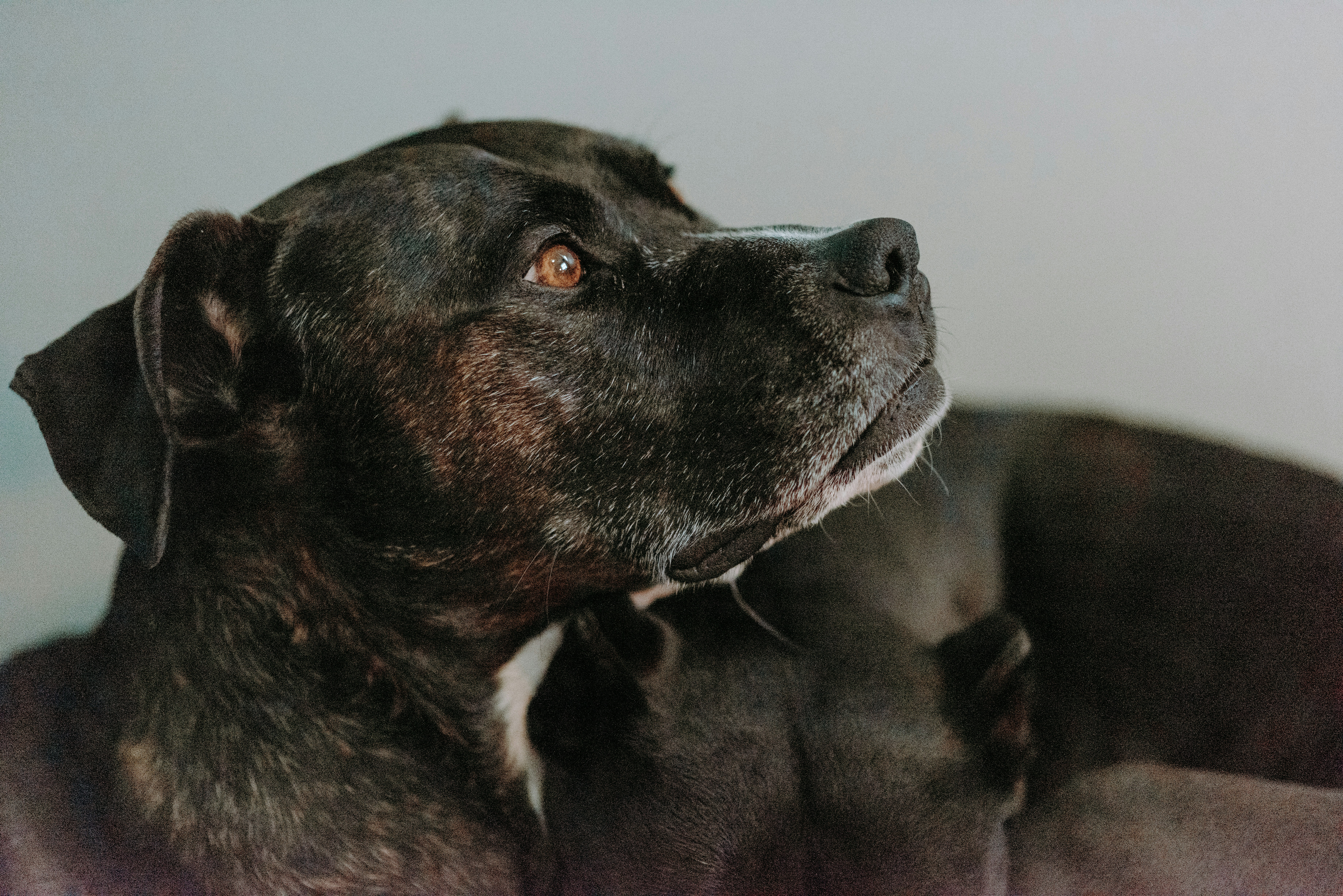 Photo by seitamaaphotography