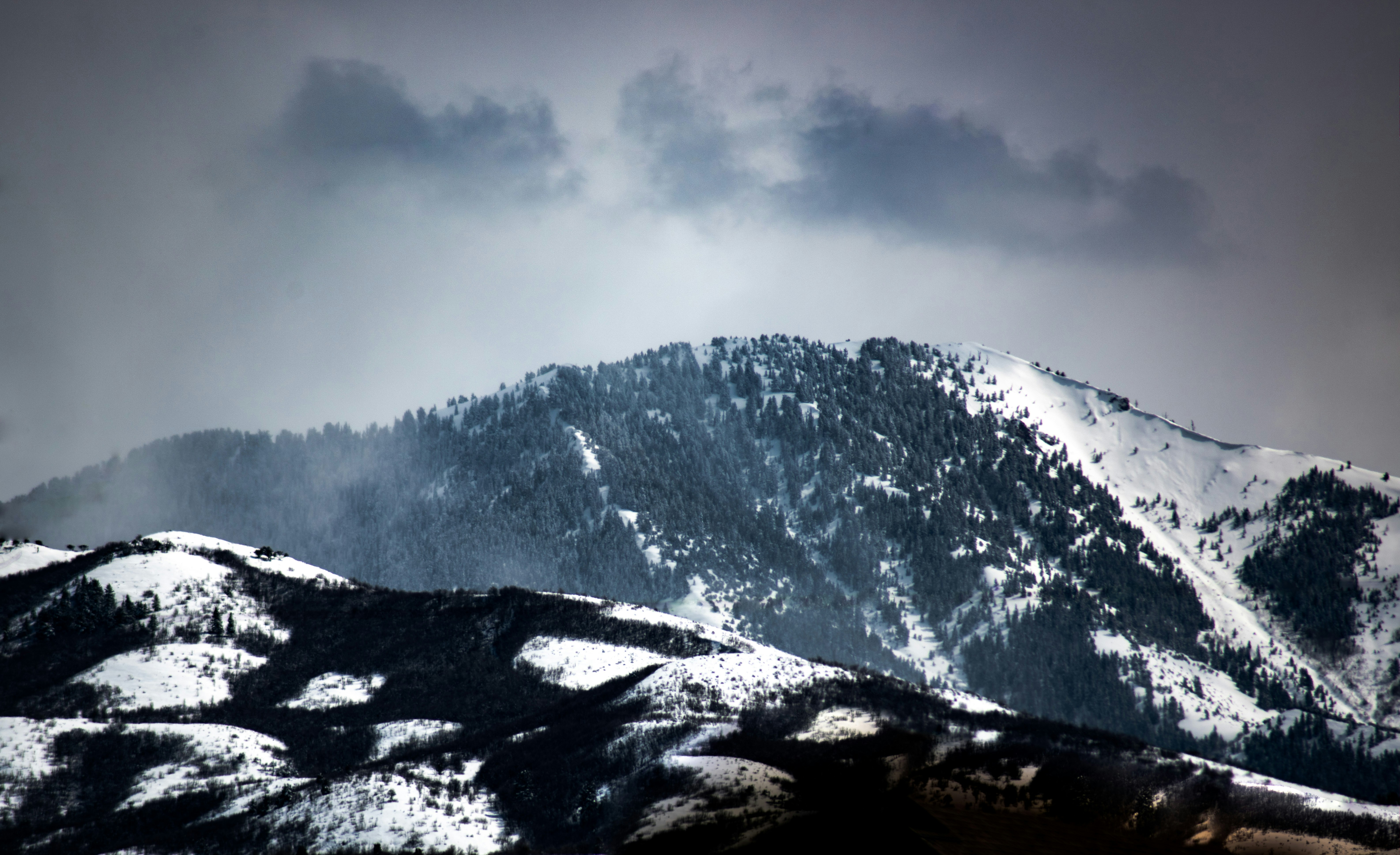 Photo by seitamaaphotography