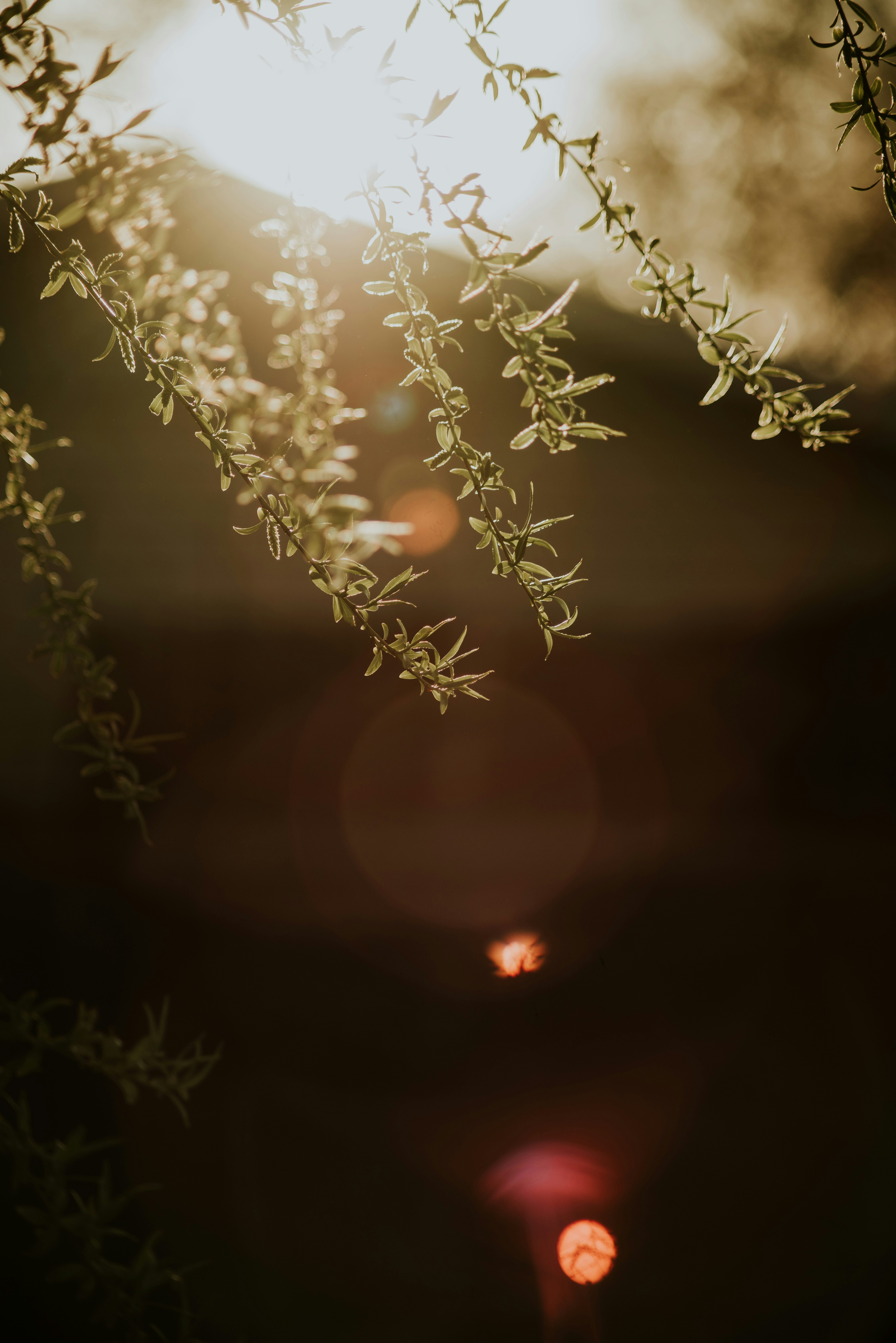 Photo by seitamaaphotography