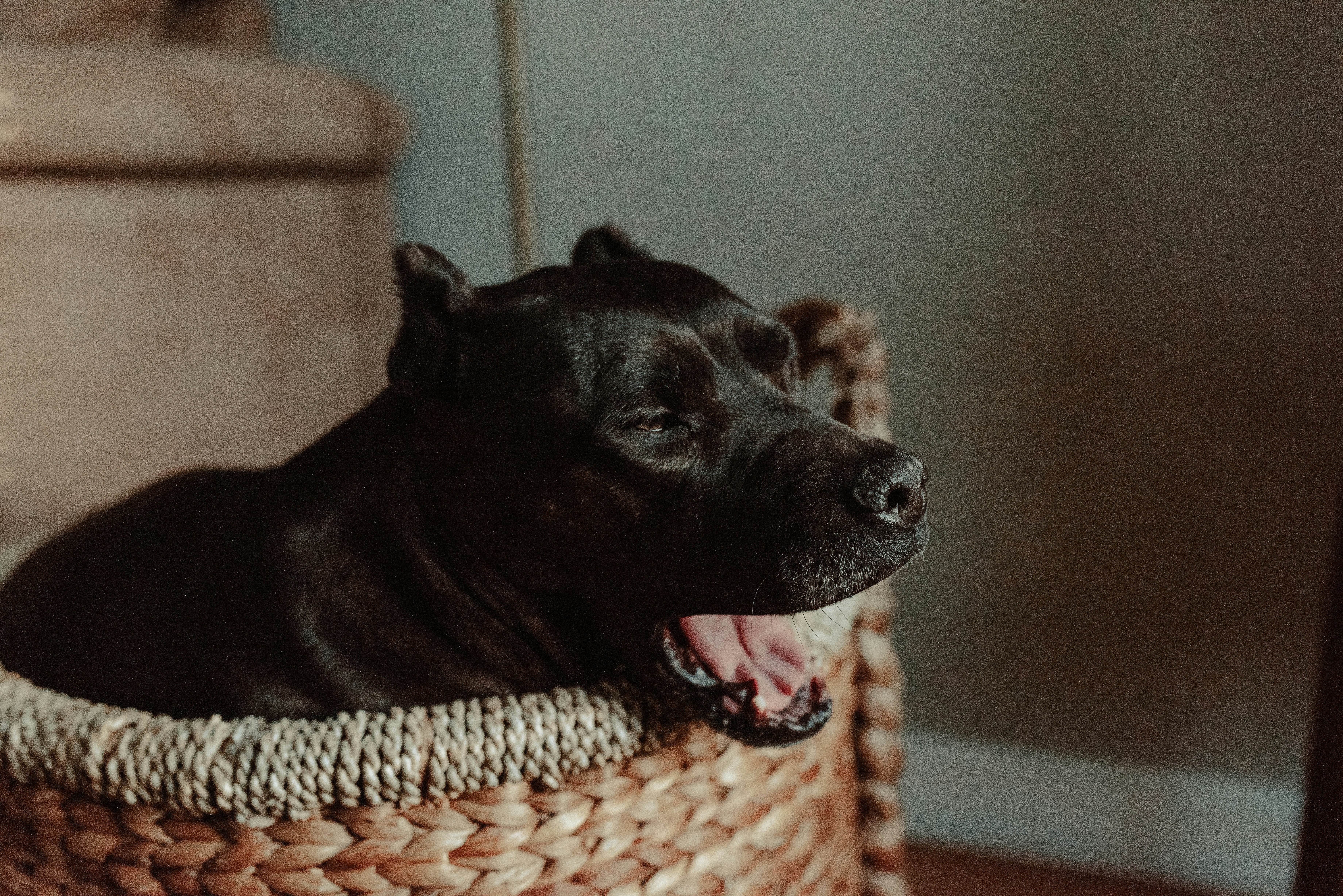 Photo by seitamaaphotography