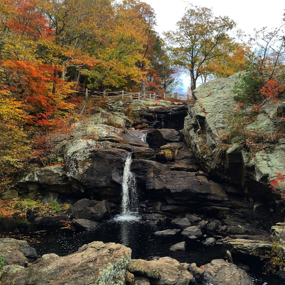 waterfalls in the middle of the forest during daytime