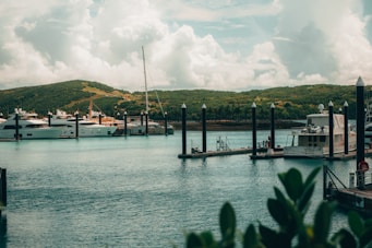 dock on body of water under white clouds and blue sky during daytime