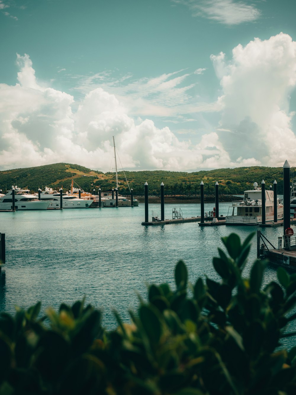 dock on body of water under white clouds and blue sky during daytime