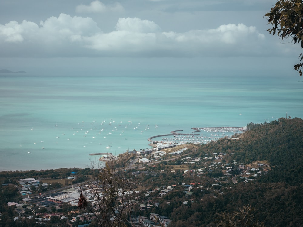 aerial view of city near body of water during daytime