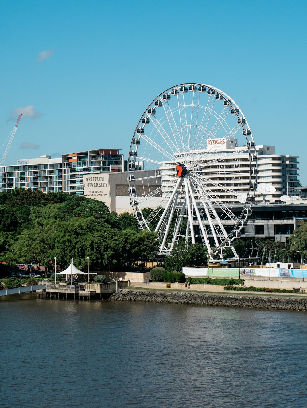 ferris wheel near body of water during daytime