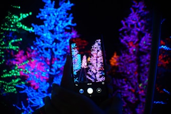 A vibrant display of illuminated trees in neon colors, captured through the screen of a smartphone. Bright blue, purple, pink, and green lights create a mesmerizing and colorful scene, reflecting a festive or artistic light installation.