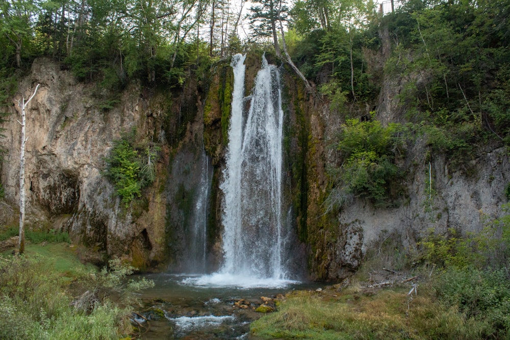 waterfalls in the middle of the forest during daytime