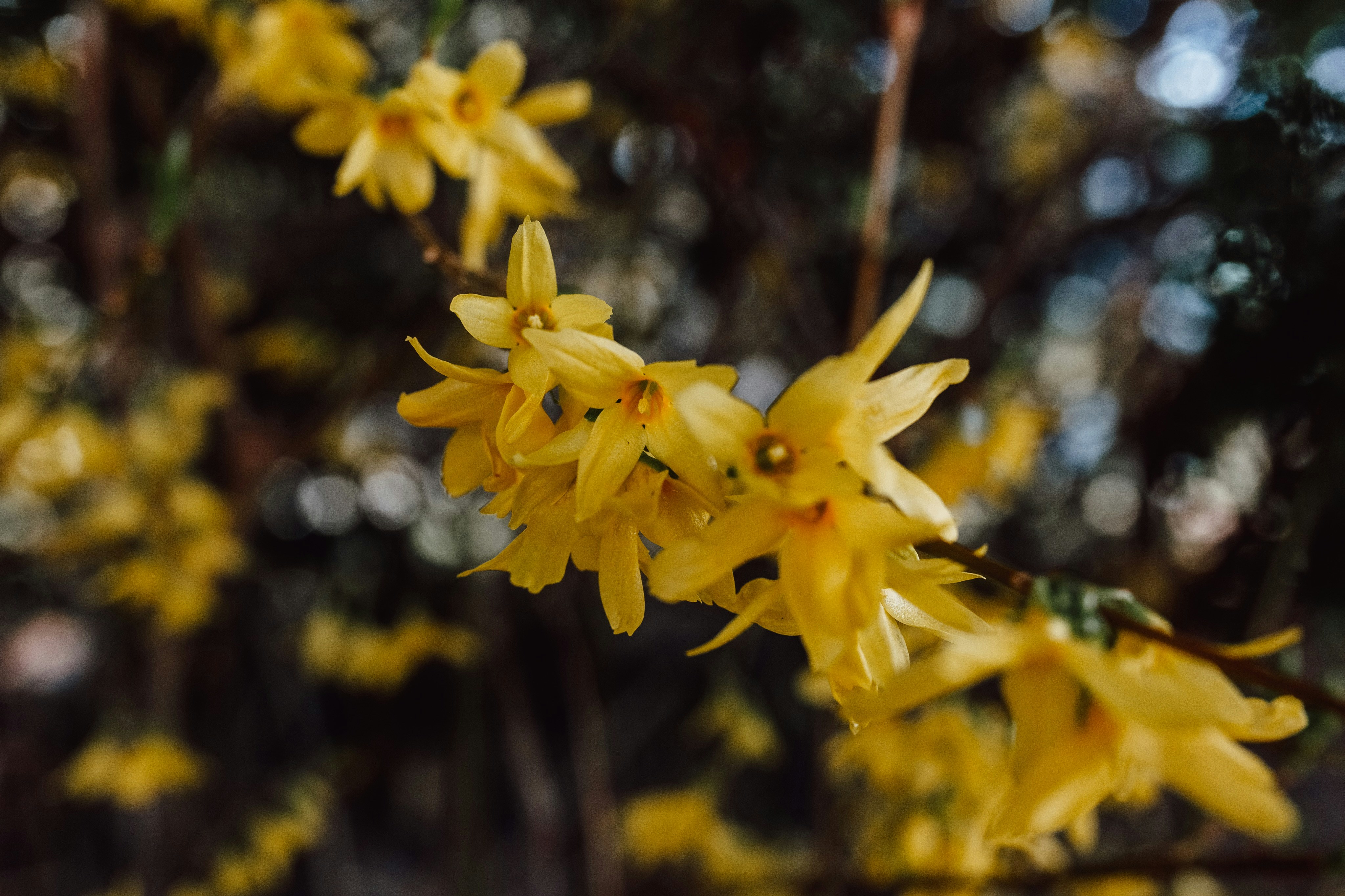 Photo by natureuninterrupted1