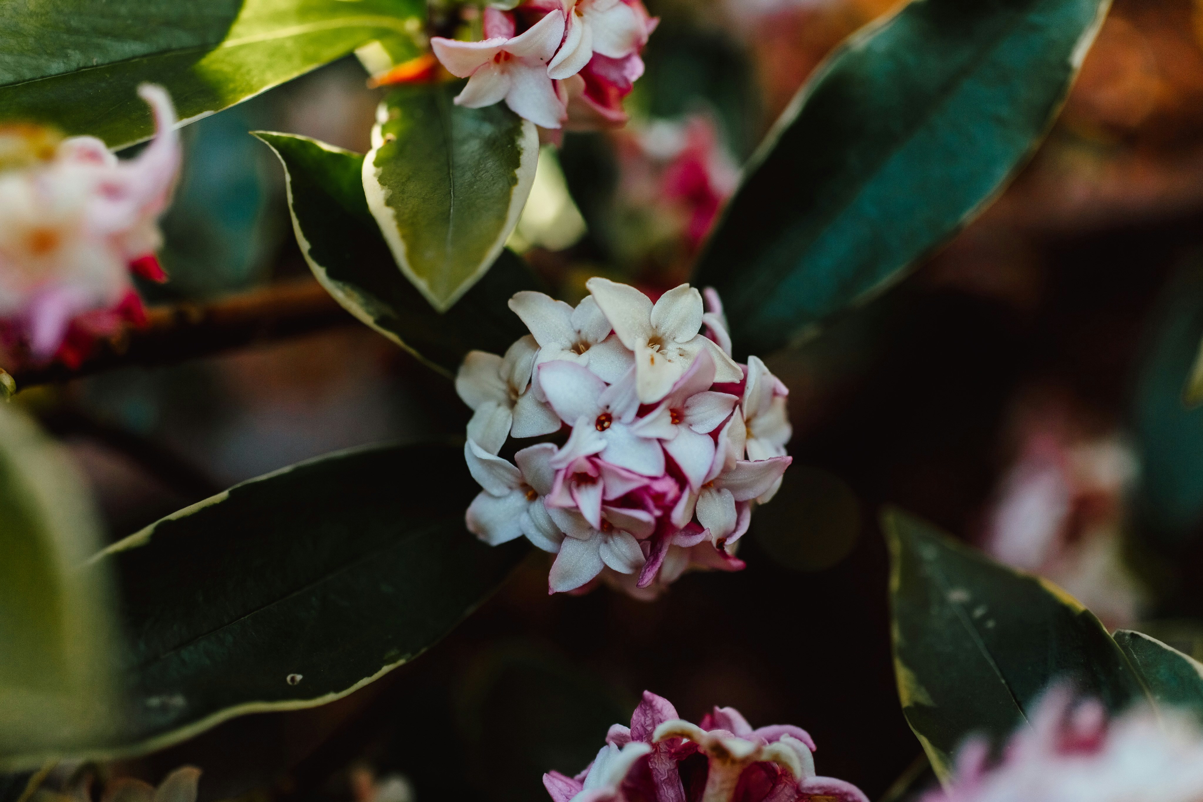 Photo by natureuninterrupted1