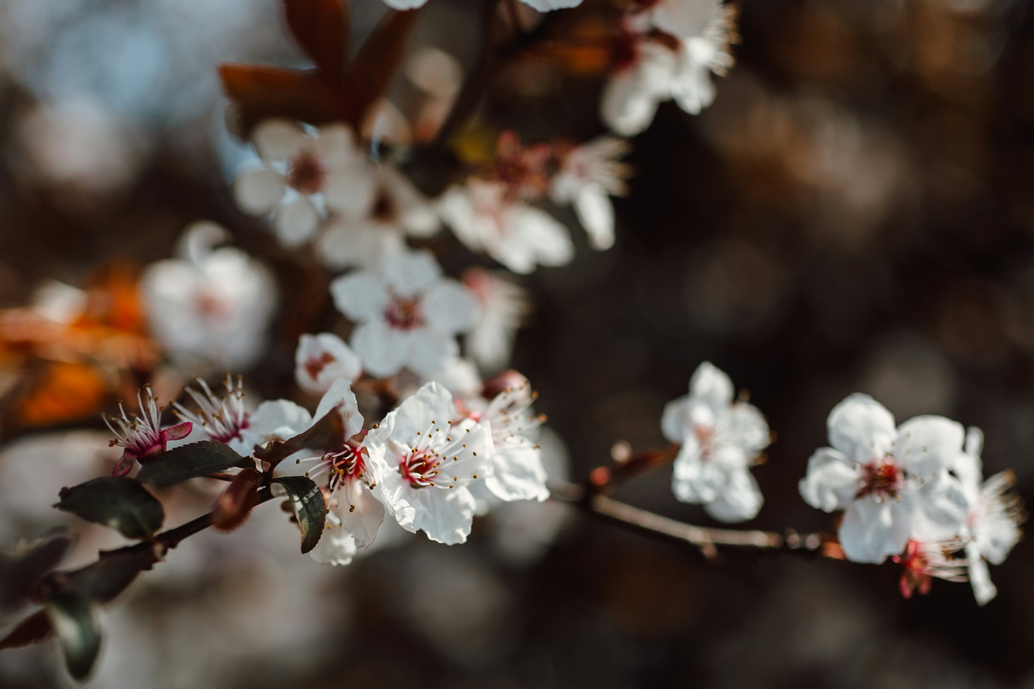 Photo by natureuninterrupted1