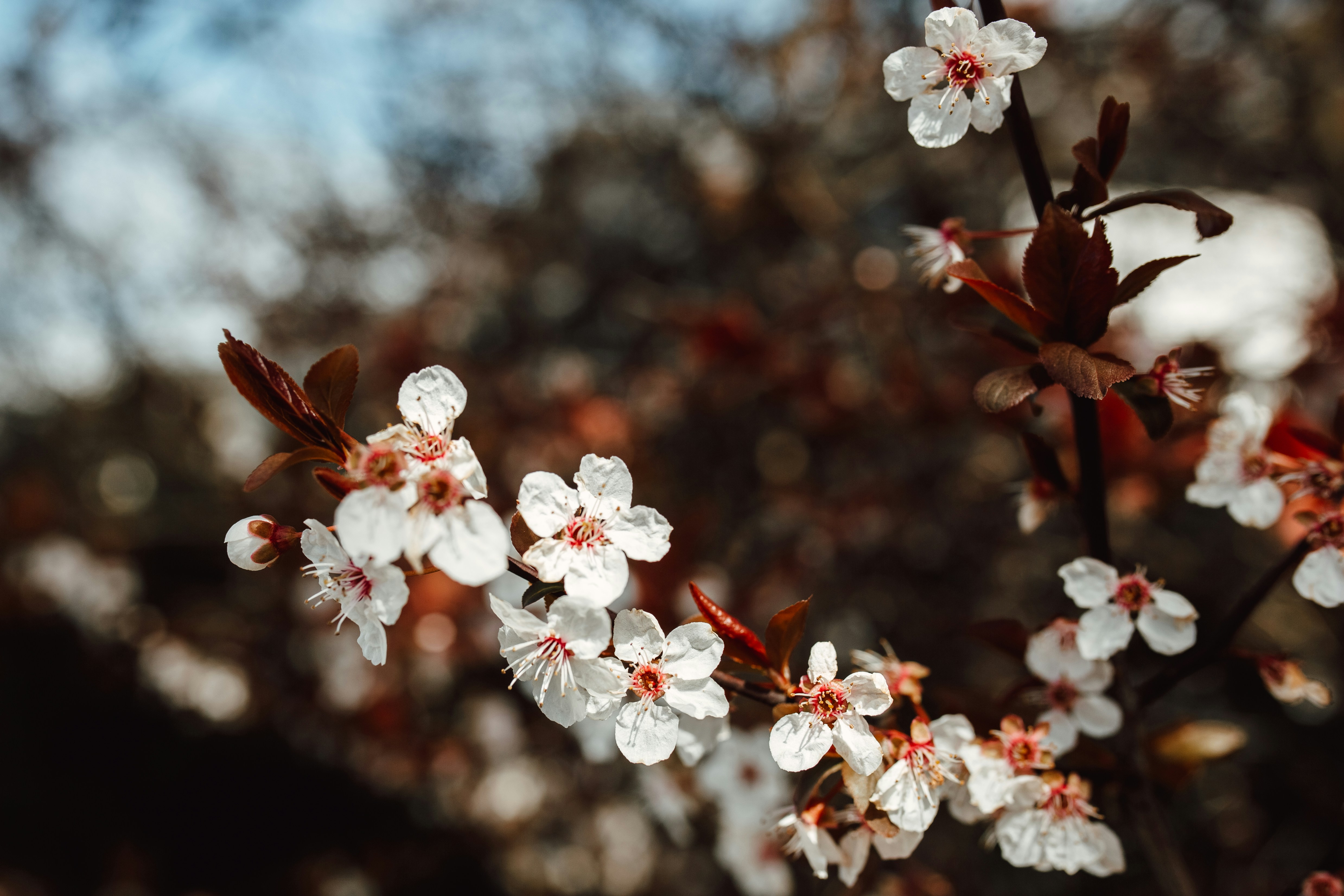 Photo by natureuninterrupted1