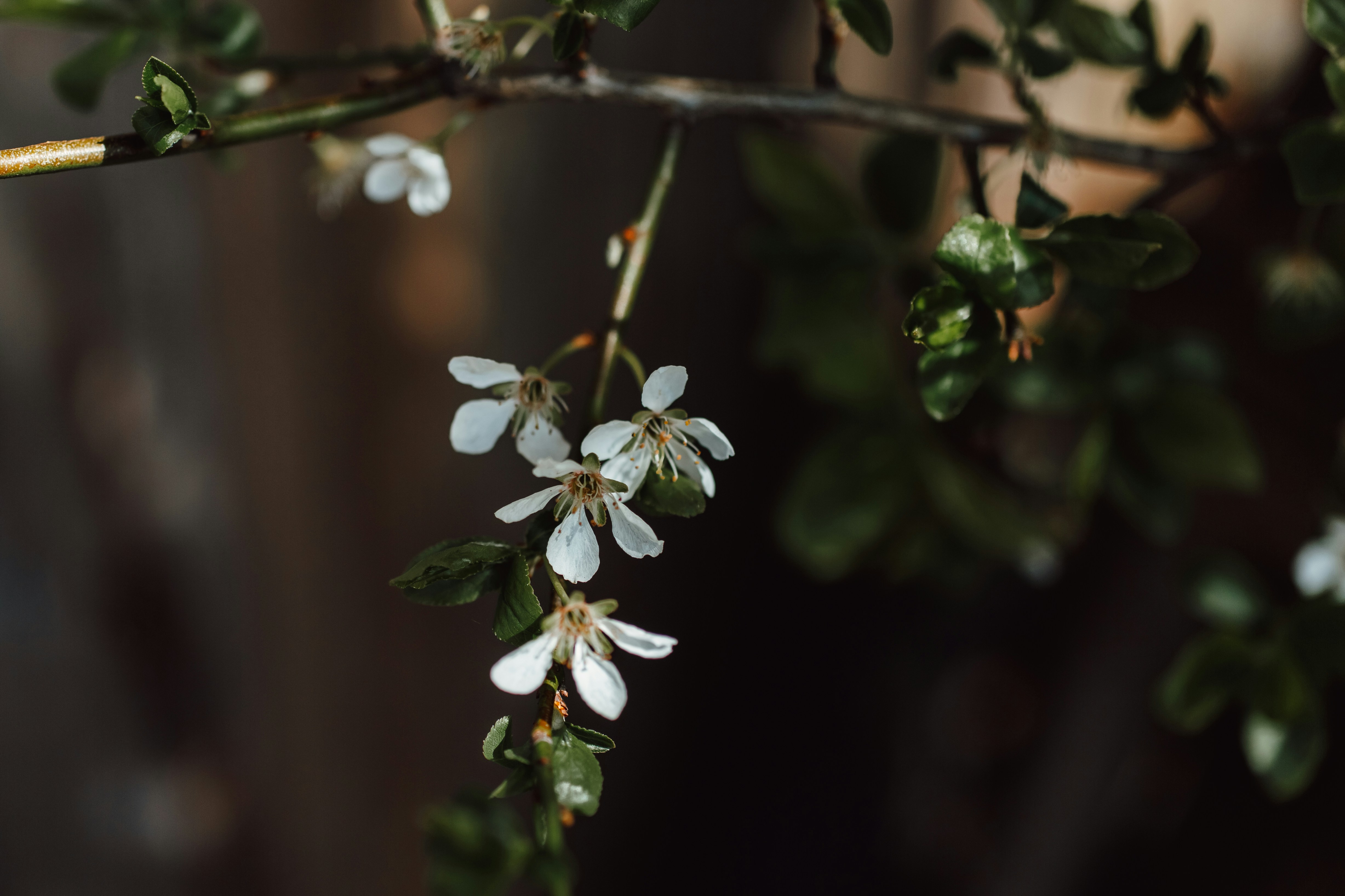 Photo by natureuninterrupted1