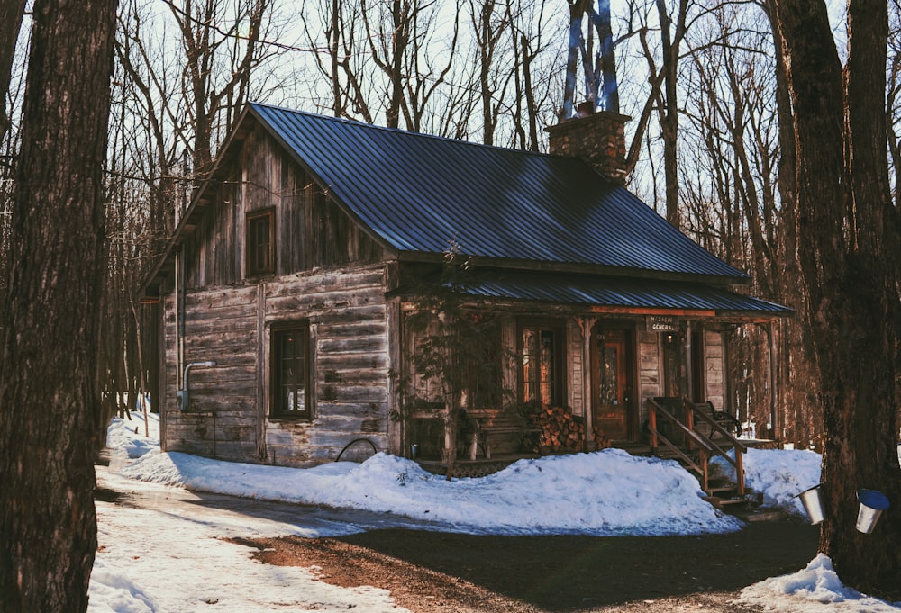 brown wooden house near bare trees during daytime