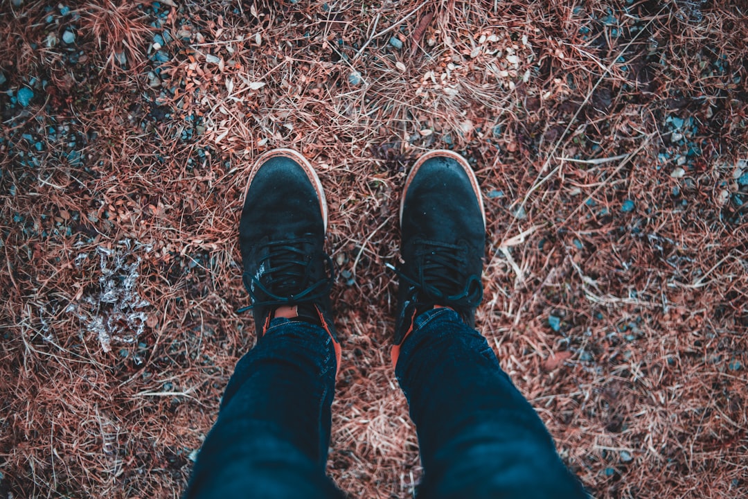 person in black pants and black shoes standing on brown dried leaves