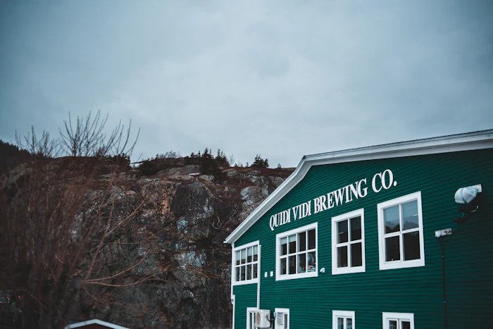 Best Craft Beer Bars in St. John's for Serious Beer Drinkers