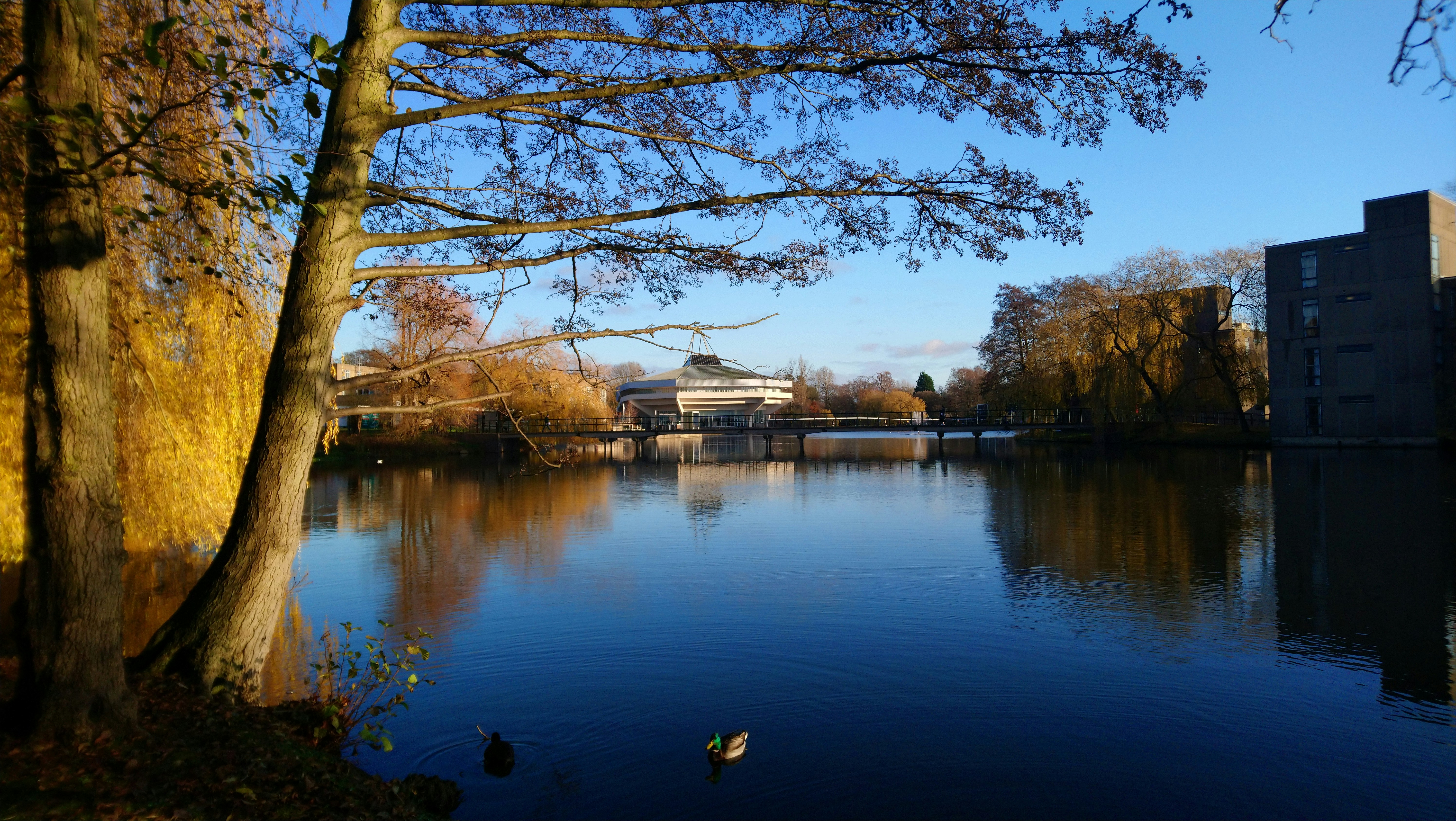 Photo by aikeaguinea