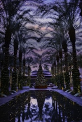 A festive outdoor scene at Club Wyndham Star Island Resort with palm trees decorated in Christmas lights and wreaths, Latin musical instruments set up for a live backyard-style music event, no faces visible.